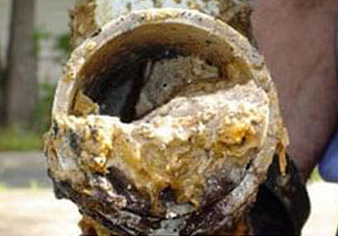 Clogged sewer pipe